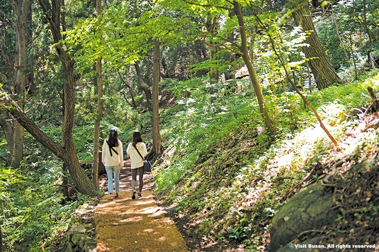 8-1cw10 욜로갈맷길 8코스_구덕문화공원_비짓부산